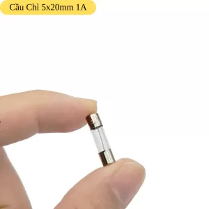 Cầu Chì 5x20mm 1A 250V